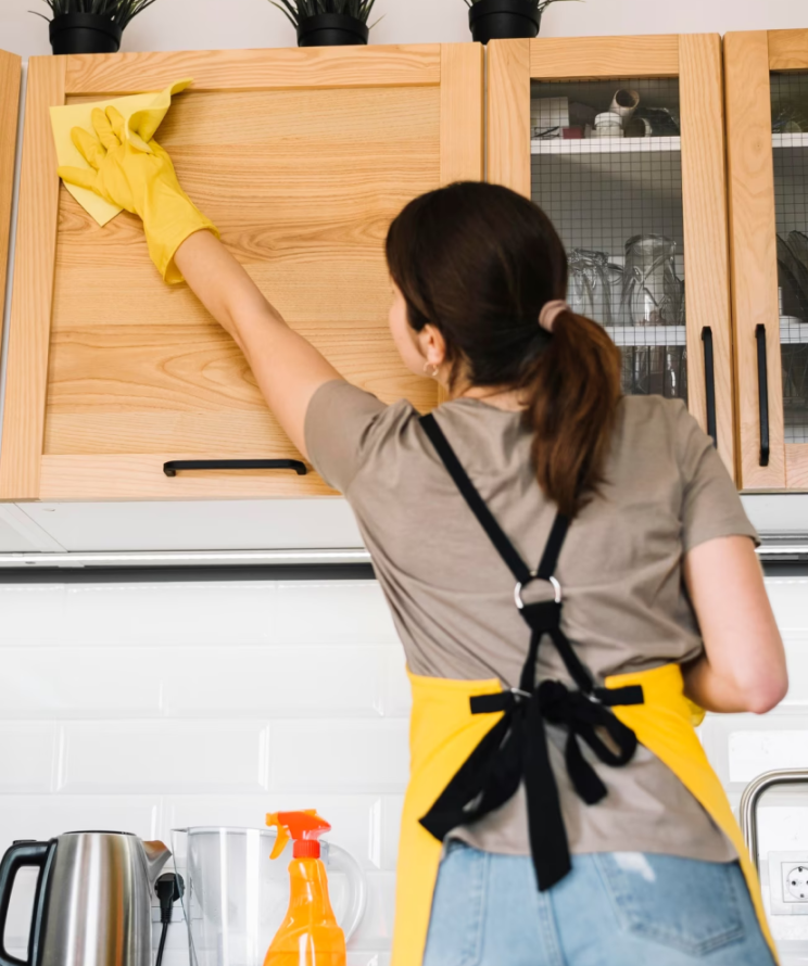 imagne-categoria-limpieza